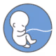 Gestational carrier icon